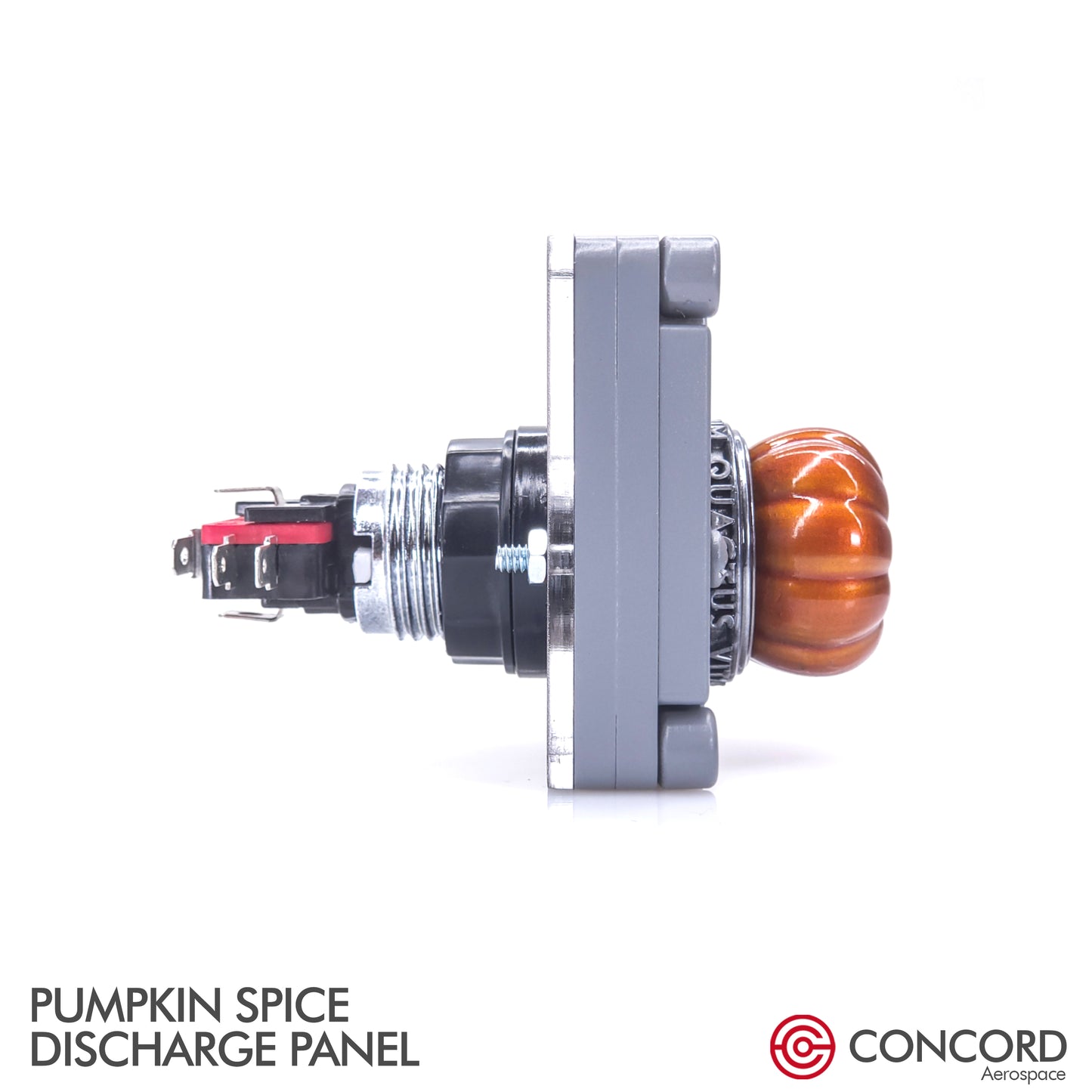 PUMPKIN SPICE DISCHARGE PANEL - Concord Aerospace