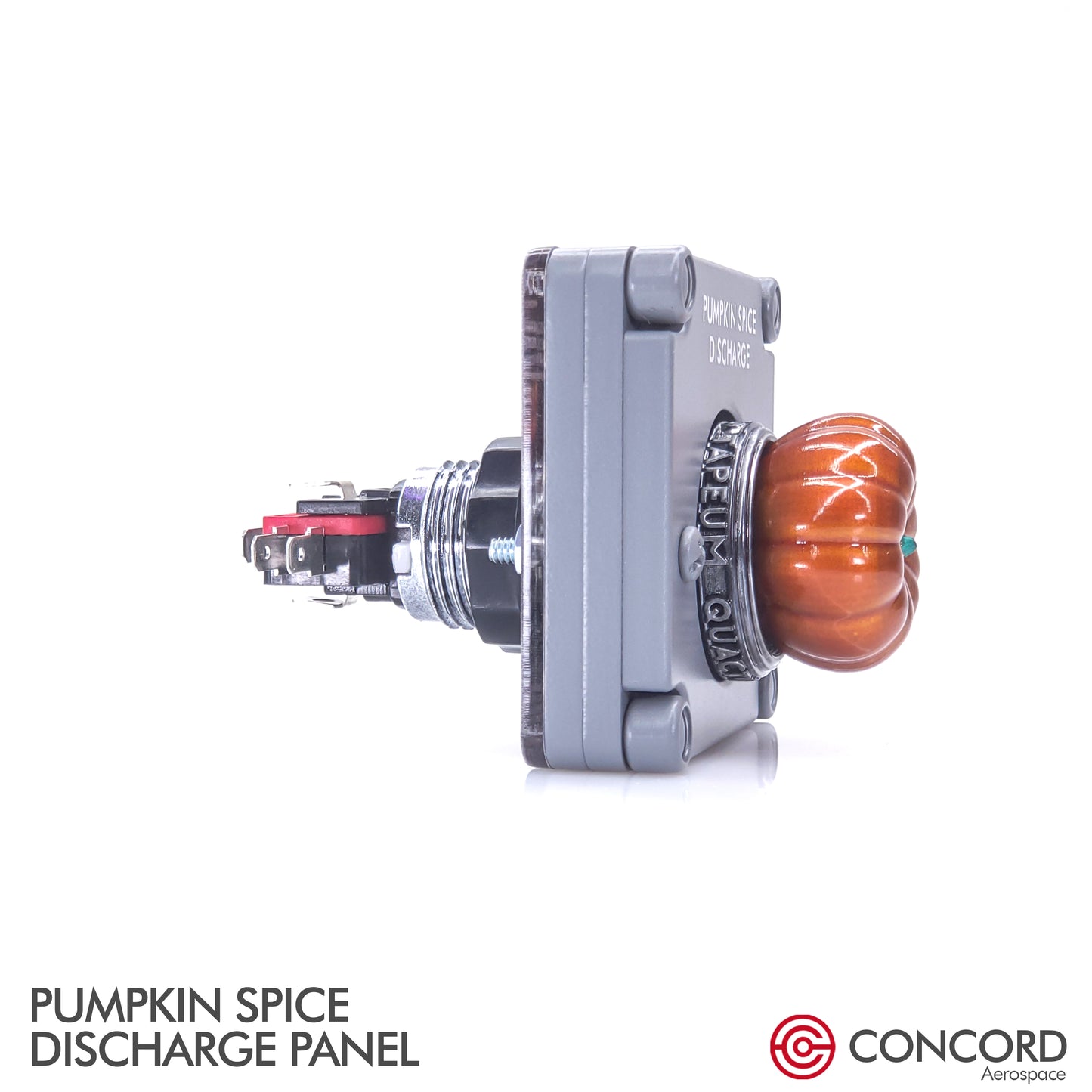 PUMPKIN SPICE DISCHARGE PANEL - Concord Aerospace
