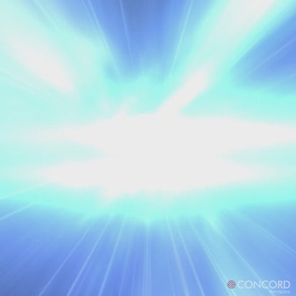 LUDICROUS SPEED PANEL